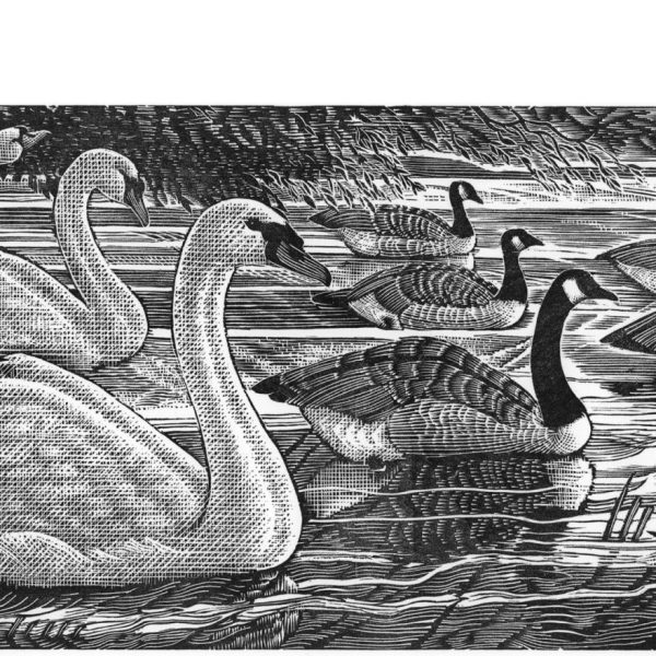 Society of Wood Engravers: 86th Annual Exhibition